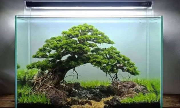 Detail Desain Bonsai Aquascape Nomer 9