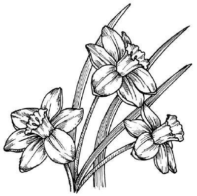 Detail Einfache Blumen Zeichnen Nomer 26