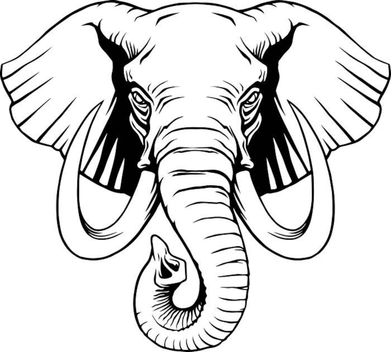Detail Elefant Zeichnung Bleistift Nomer 5