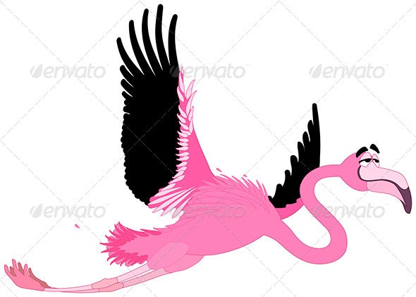 Detail Flamingo Bilder Comic Nomer 14