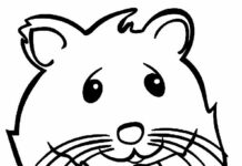 Detail Hamster Bilder Zum Ausdrucken Nomer 23