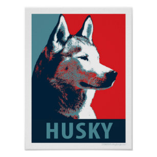 Detail Husky Welpen Blaue Augen Kaufen Nomer 22