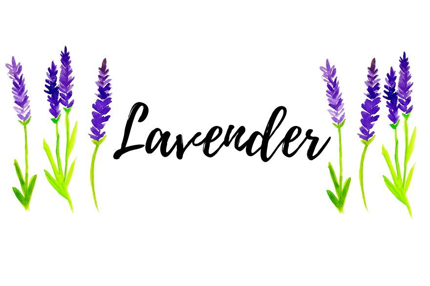 Detail Lavendel Clipart Nomer 20