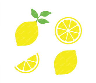 Detail Lemon Cut In Half Nomer 13