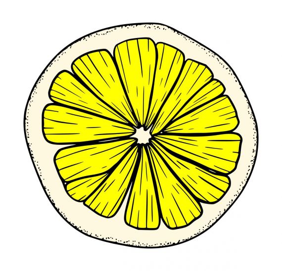 Detail Lemon Cut In Half Nomer 3