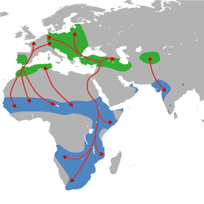 Detail Savannen In Afrika Karte Nomer 12