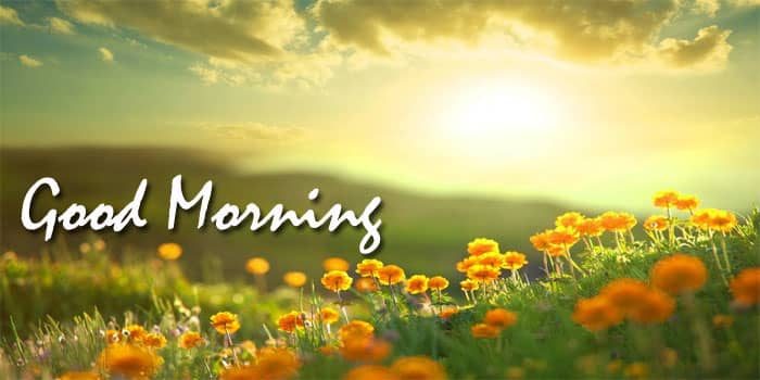 Detail Gambar Ucapan Selamat Pagi Bahasa Inggris Nomer 39