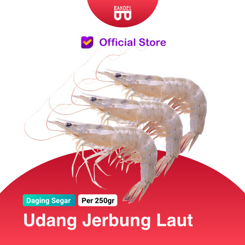 Detail Gambar Udang Asli Nomer 15