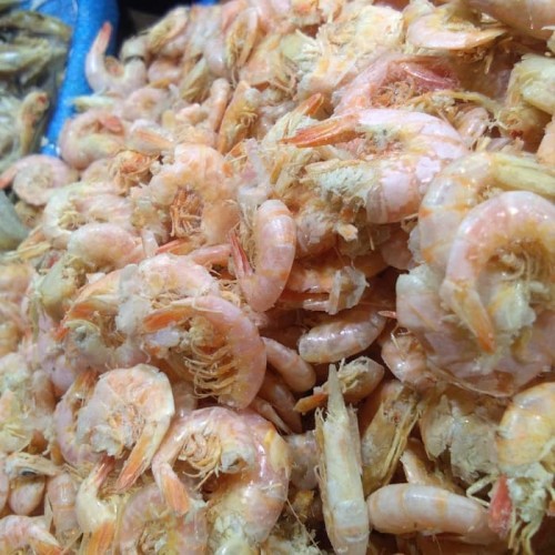 Detail Gambar Udang Asli Nomer 38