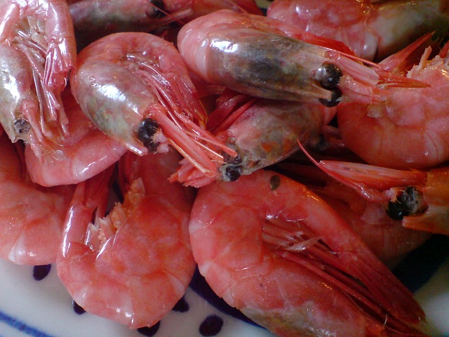 Detail Gambar Udang Gambar Binatang Nomer 22