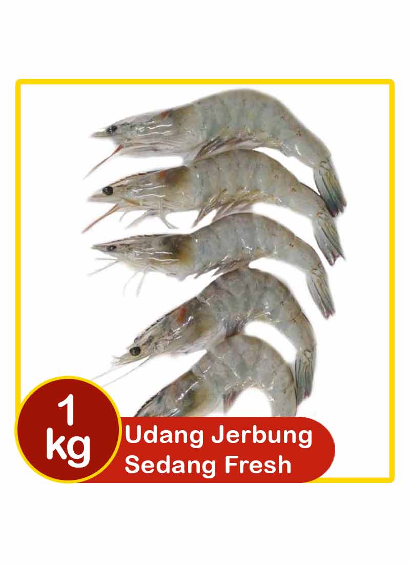 Detail Gambar Udang Jerbung Nomer 30