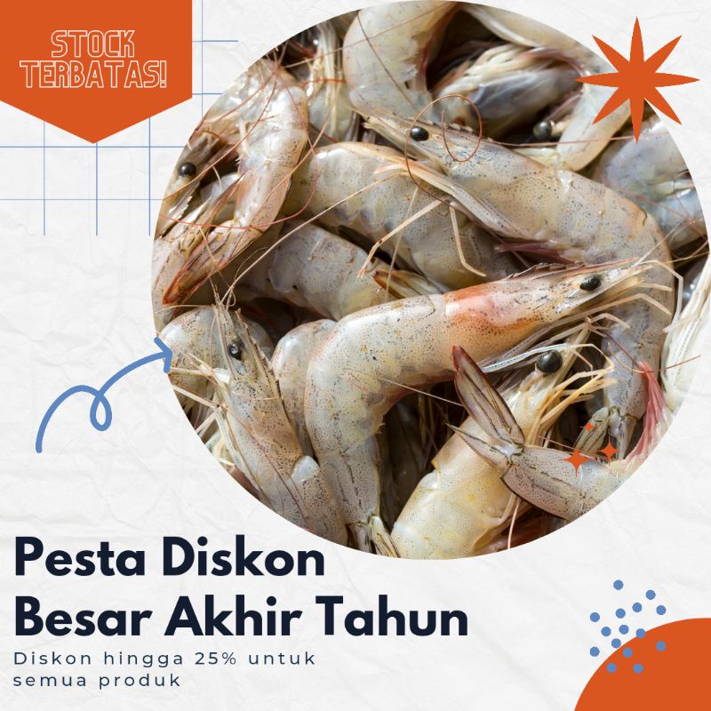 Detail Gambar Udang Kecil Nomer 49