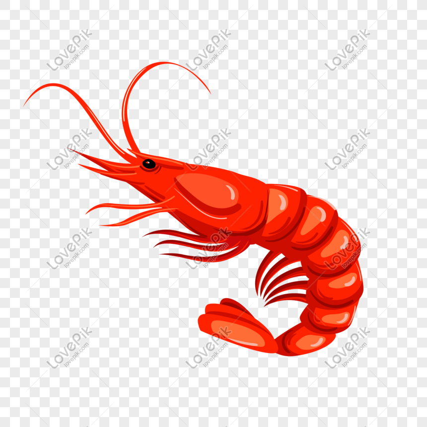 Detail Gambar Udang Png Nomer 3