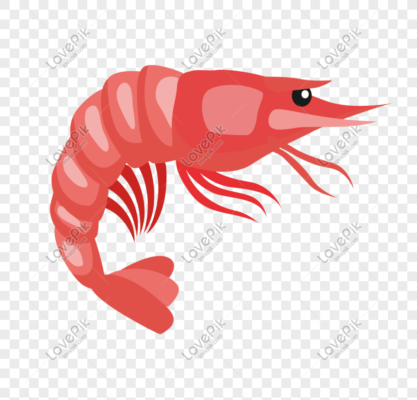 Detail Gambar Udang Png Nomer 25