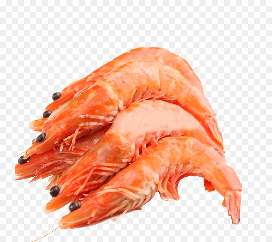 Detail Gambar Udang Png Nomer 40