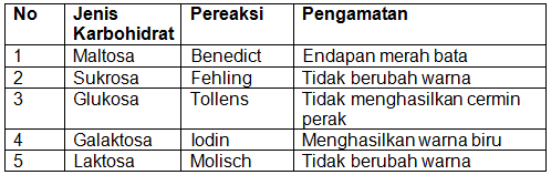 Detail Gambar Uji Karbohidrat Nomer 22