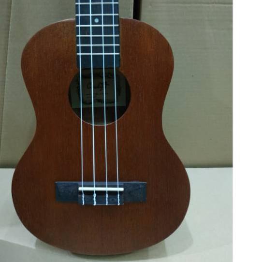 Detail Gambar Ukulele Keren Nomer 46