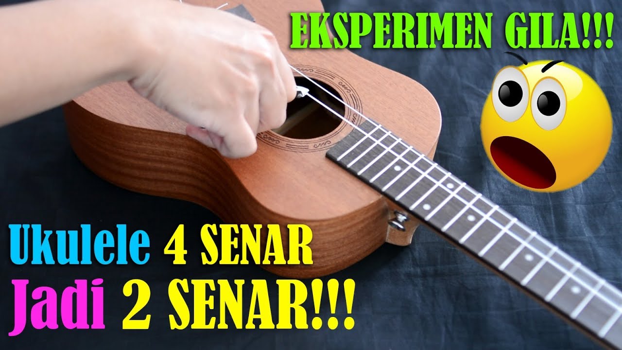 Detail Gambar Ukulele Senar 4 Nomer 33