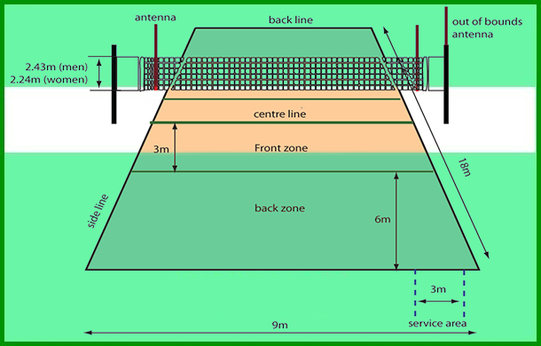 Detail Gambar Ukuran Lapangan Voli Nomer 49