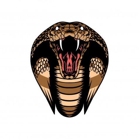 Detail Gambar Ular Cobra Keren Nomer 20