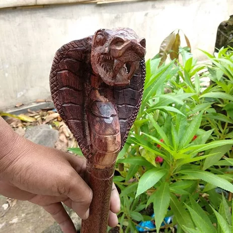 Detail Gambar Ular Kayu Nomer 33