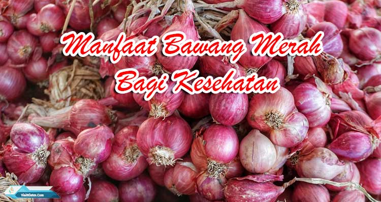 Detail Gambar Umbi Lapis Bawang Merah Nomer 42