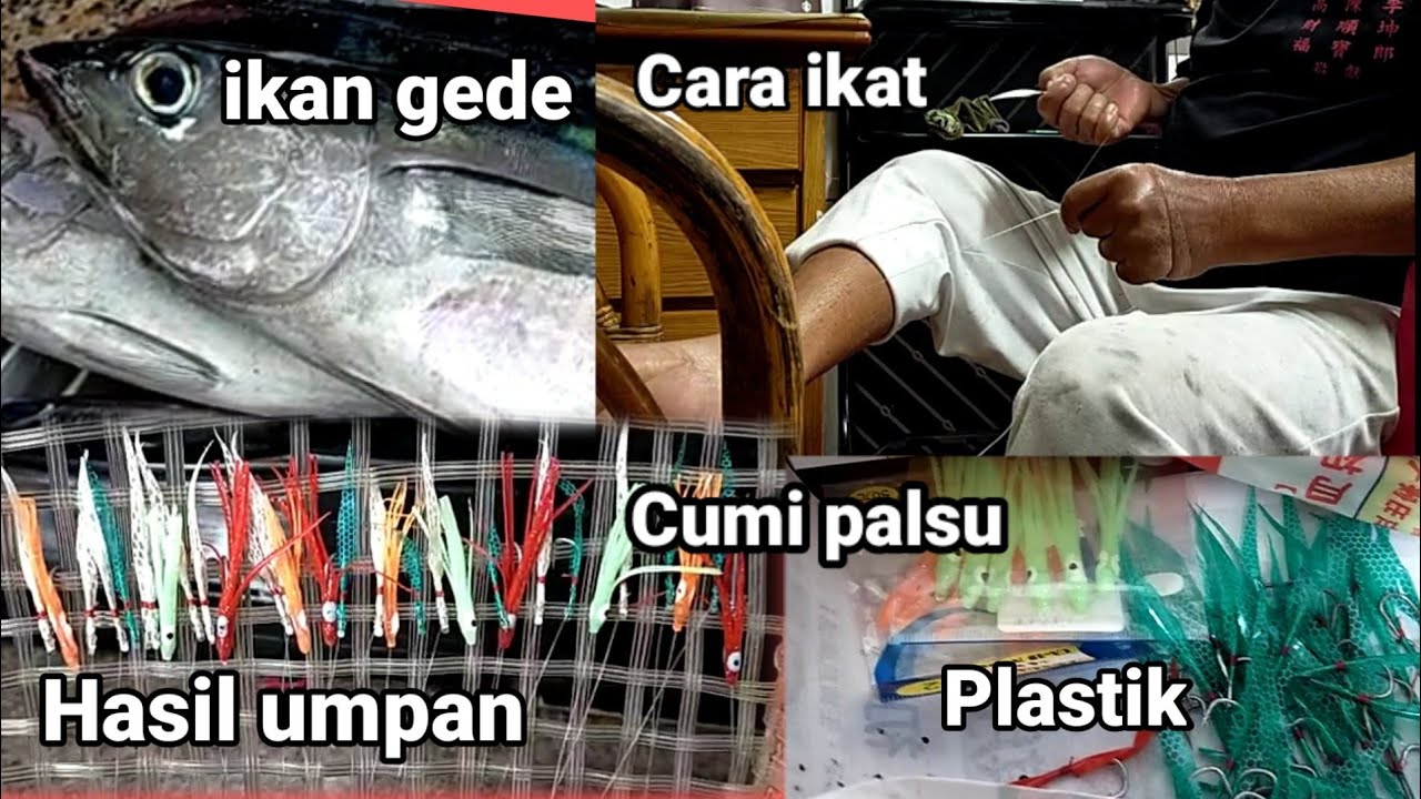 Detail Gambar Umpan Ikan Tuna Nomer 34