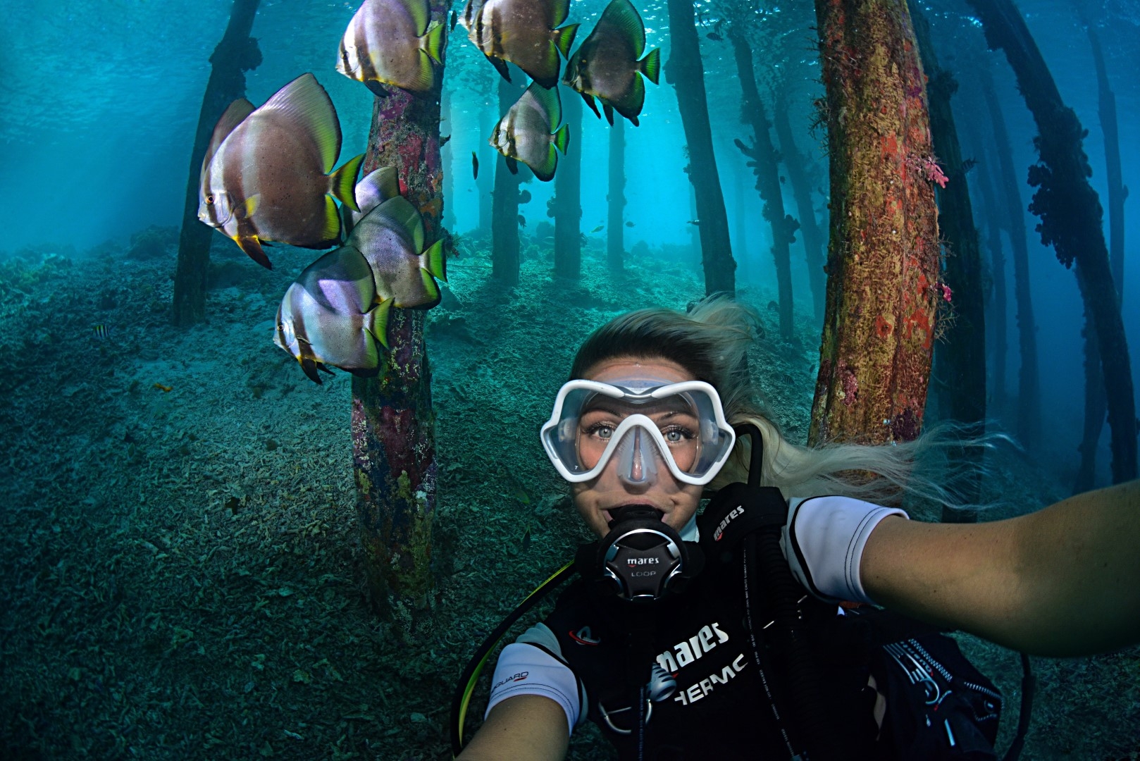 Detail Gambar Underwater Raja Ampat Nomer 39