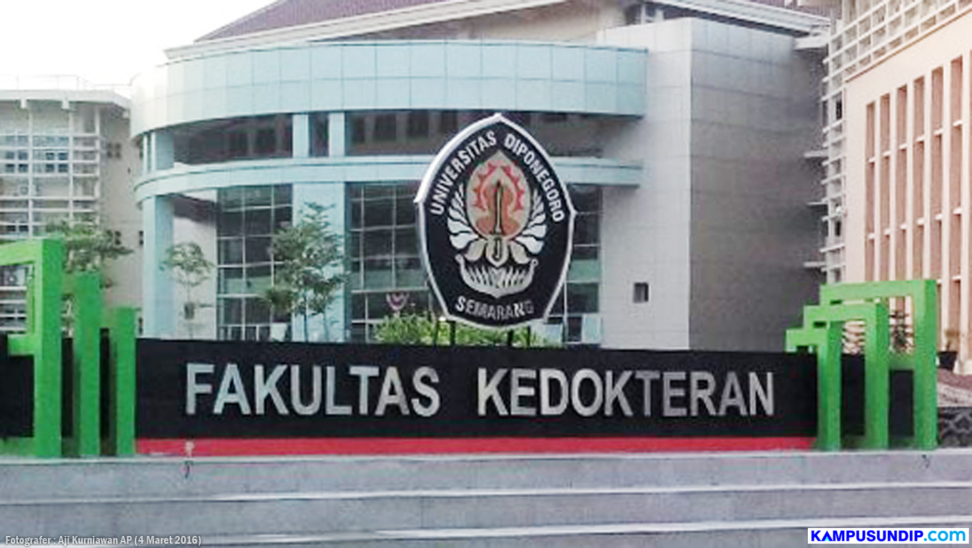 Detail Gambar Universitas Diponegoro Semarang Nomer 14