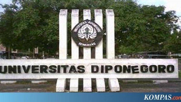 Detail Gambar Universitas Diponegoro Semarang Nomer 16