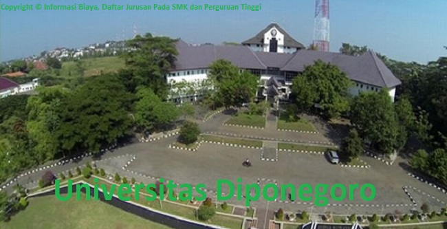 Detail Gambar Universitas Diponegoro Semarang Nomer 19