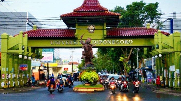 Detail Gambar Universitas Diponegoro Semarang Nomer 31