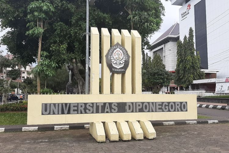 Detail Gambar Universitas Diponegoro Semarang Nomer 7