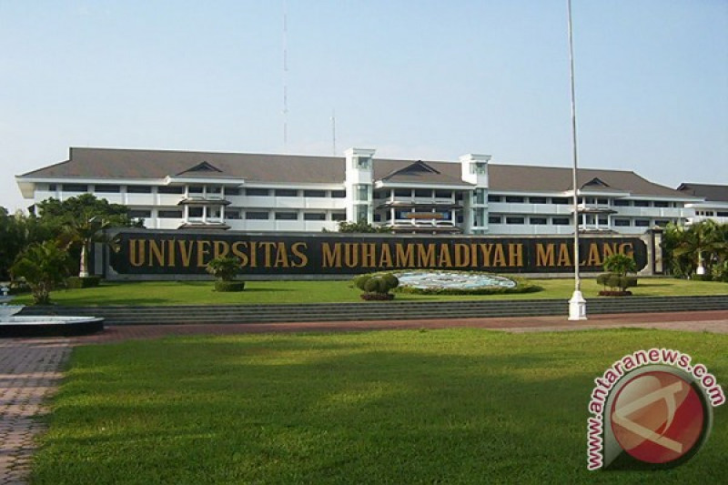 Detail Gambar Universitas Muhammadiyah Malang Nomer 12