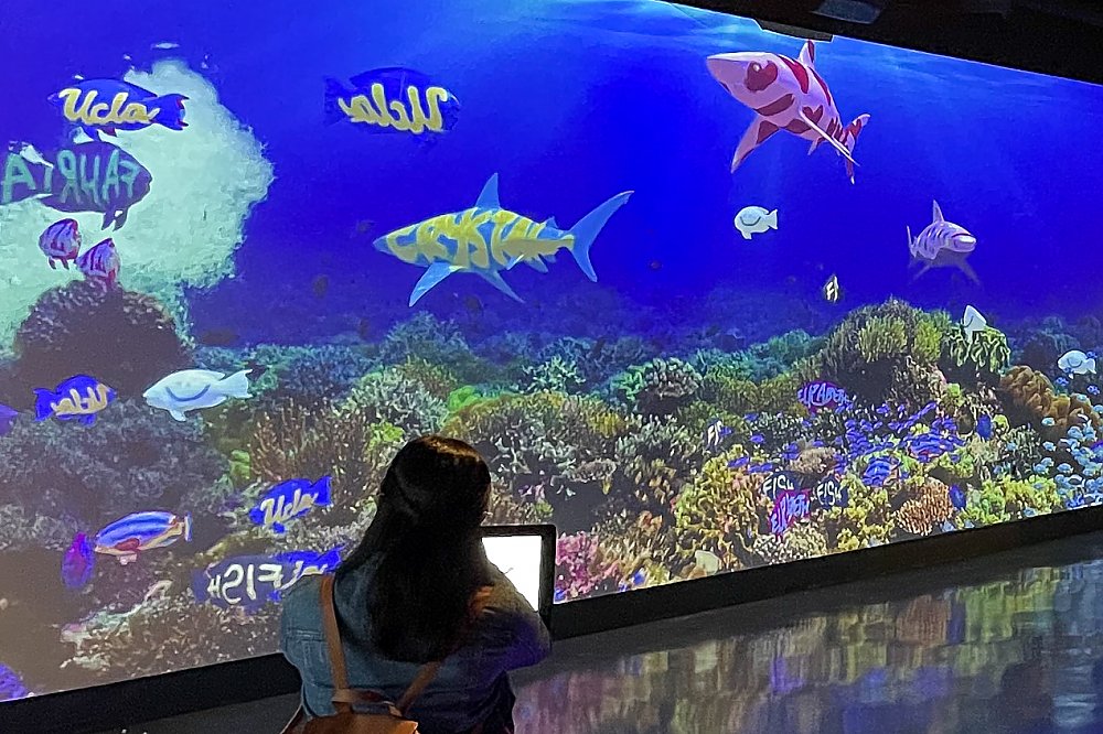 Detail Gambar Untuk Aquarium Nomer 23