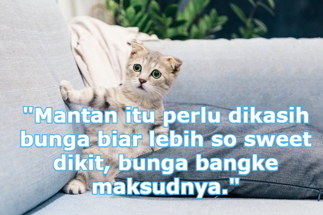 Detail Gambar Untuk Status Fb Nomer 14