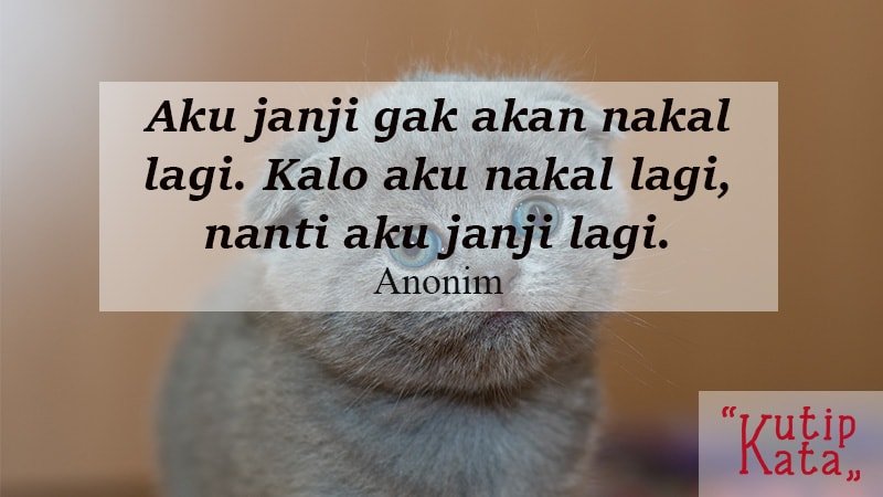 Detail Gambar Untuk Status Fb Nomer 32