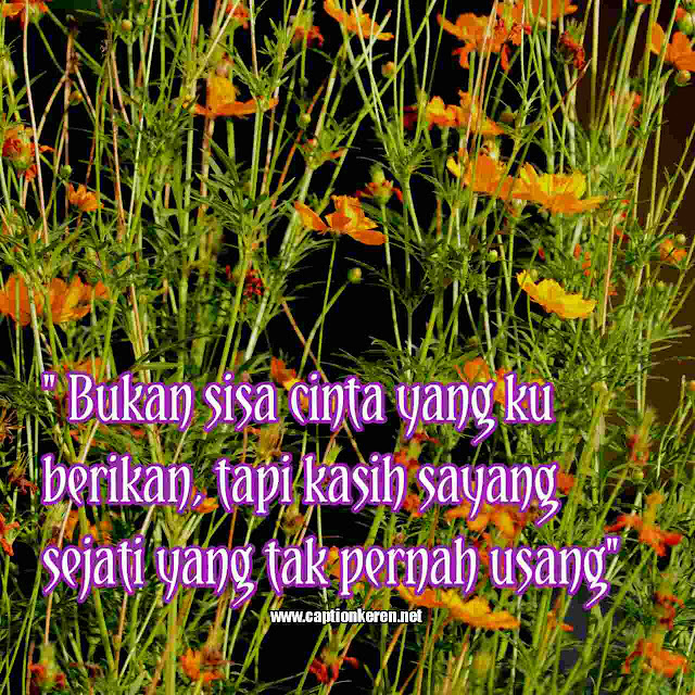 Detail Gambar Untuk Status Fb Nomer 57