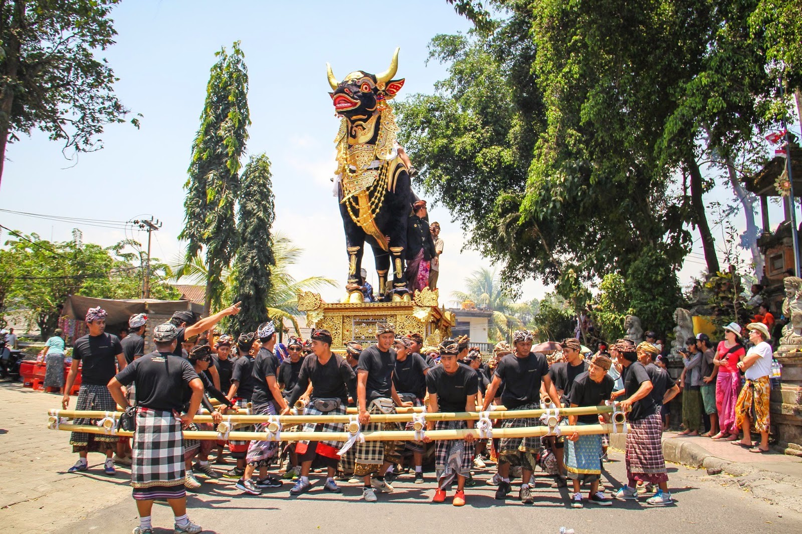 Detail Gambar Upacara Adat Dan Asal Daerahnya Nomer 3