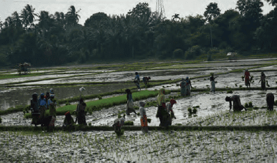 Detail Gambar Upaya Pemerintah Dalam Mengatasi Ancaman Integrasi Nasional Nomer 52