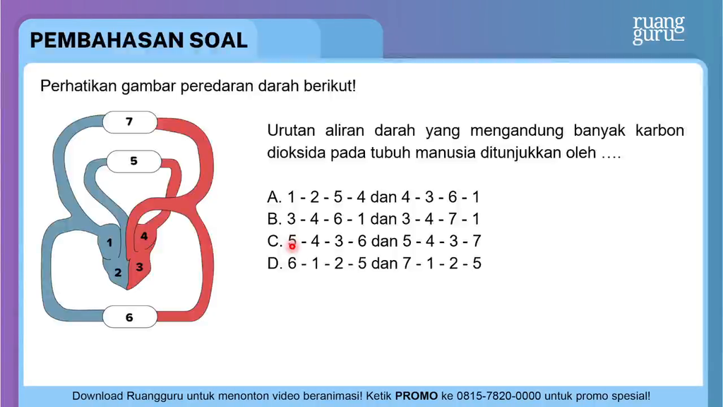 Detail Gambar Urutan Peredaran Darah Nomer 56