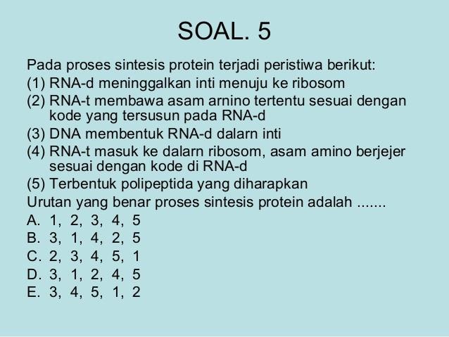 Detail Gambar Urutan Proses Sintesis Protein Nomer 17