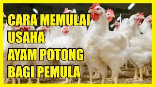 Detail Gambar Usaha Ayam Nomer 19