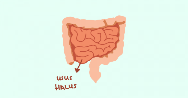 Detail Gambar Usus Halus Animasi Nomer 13