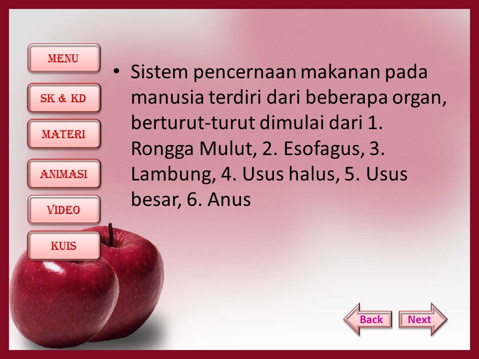 Detail Gambar Usus Halus Animasi Nomer 49