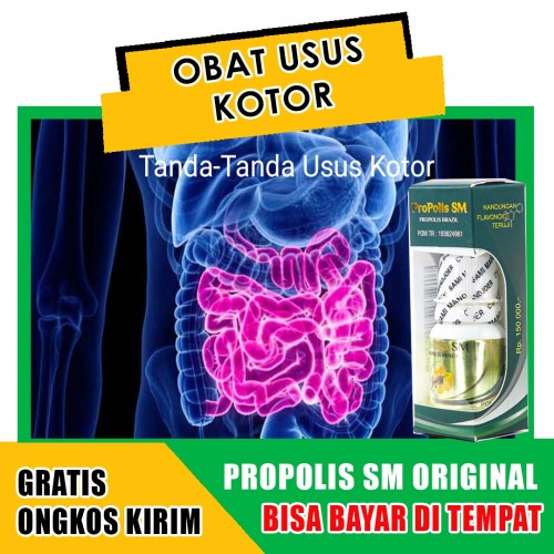 Detail Gambar Usus Kotor Nomer 26