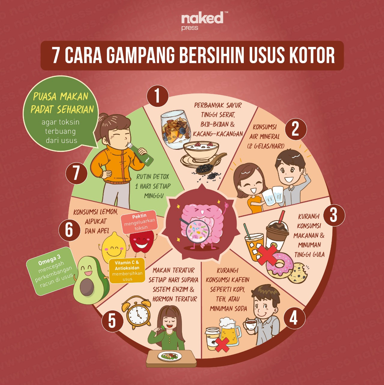 Detail Gambar Usus Kotor Dan Bersih Nomer 10