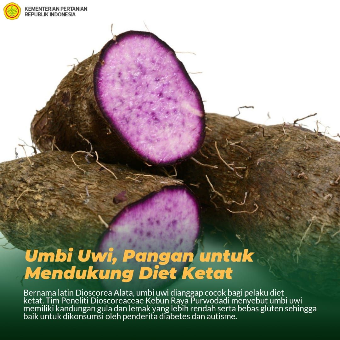 Detail Gambar Uwi Ungu Nomer 5