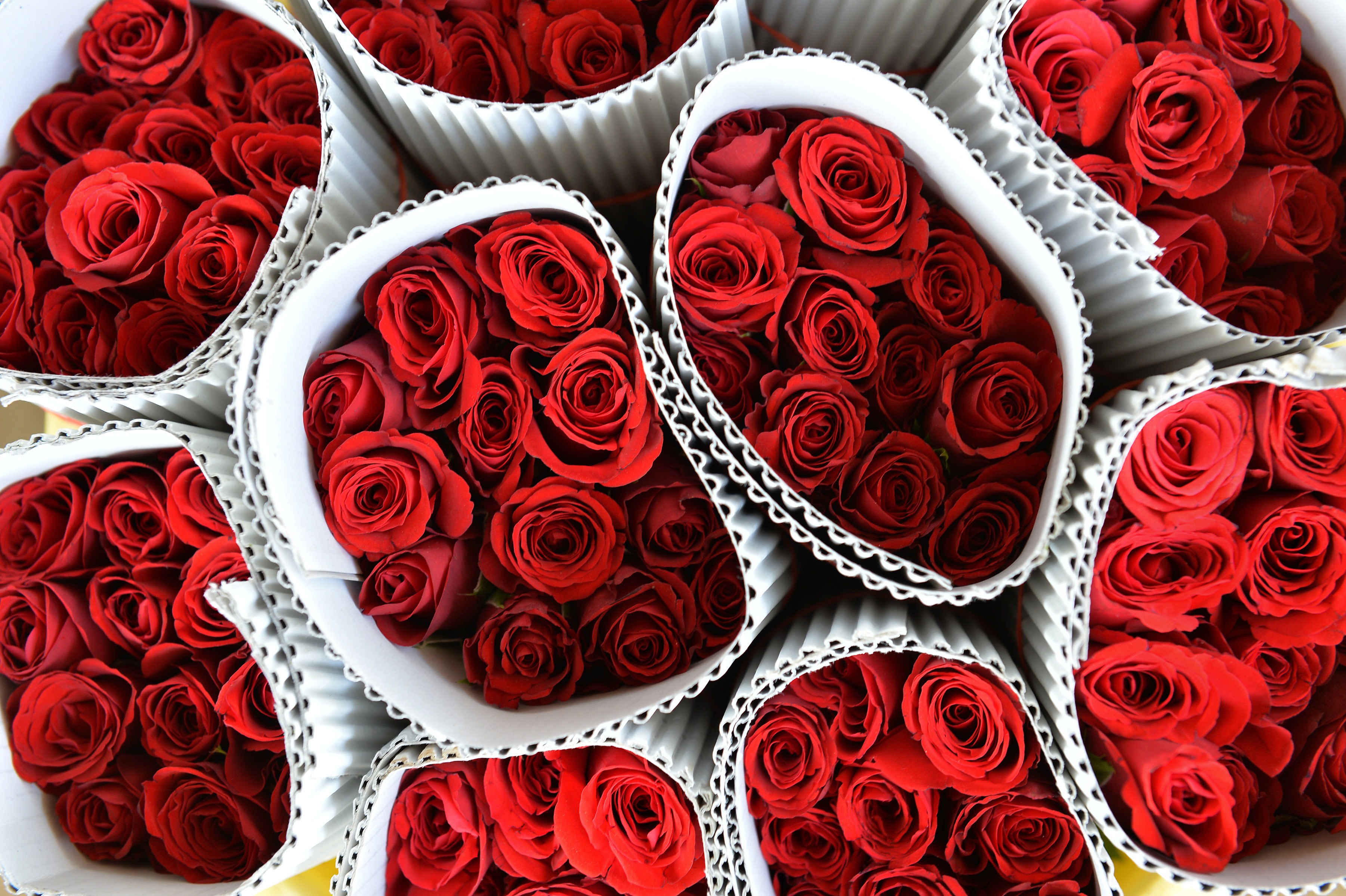 Detail Gambar Valentines Day Nomer 22