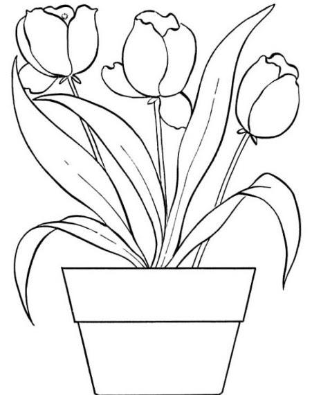Detail Gambar Vas Bunga Dan Bunganya Nomer 8